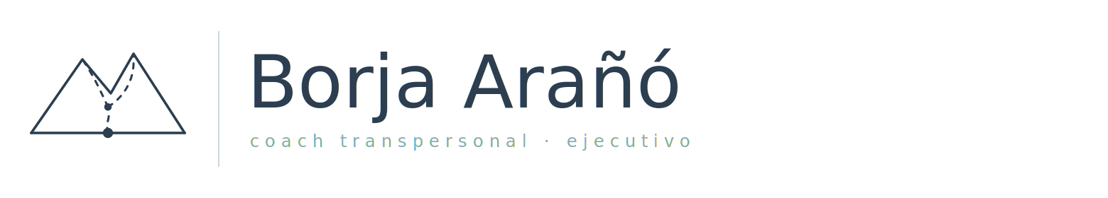 Borja Arañó Coach